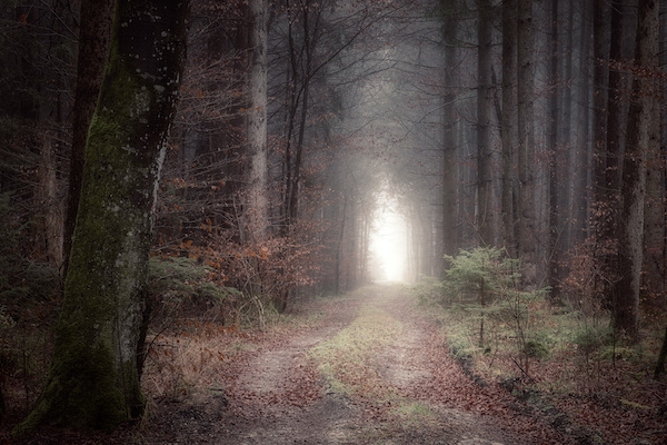 Sanctuary of Self